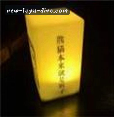 赵丽